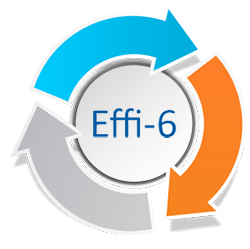 Garantía Effi-6